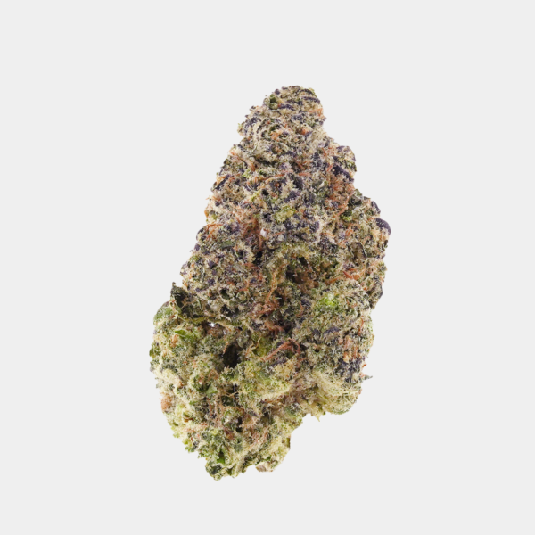 GMO Cookies Top Shelf THCa flower from BOOM, showcasing dense, frosty buds with green and purple hues, savory diesel aroma