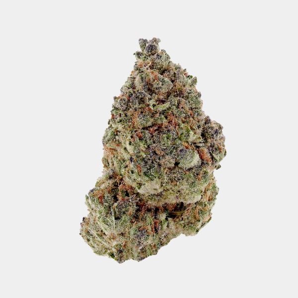 Laughing Gas top shelf THCa flower, with citrus and savory aroma, vibrant green buds with orange hairs and frosty trichomes
