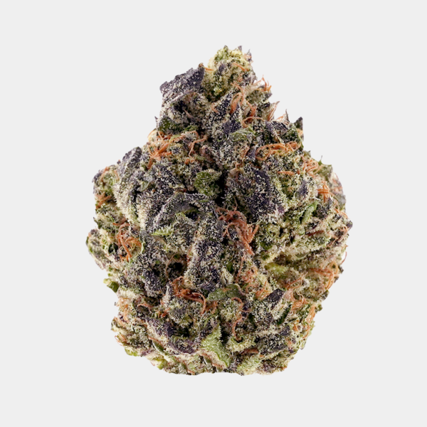 Tropicana Cherry Top ShelfTHCa flower, frosty and vibrant green and purple hues with orange hairs and sweet fruity aroma