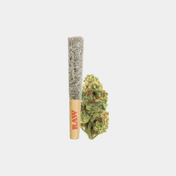 Venom OG Diamond-infused THCa Flower Pre-Roll, with sour and citrus aroma, crafted for potency. Perfect for sharing